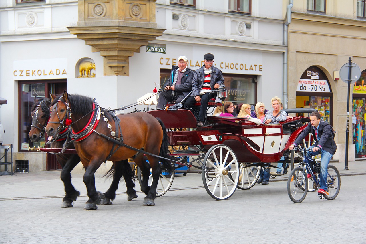 horse horse ride carriages free photo