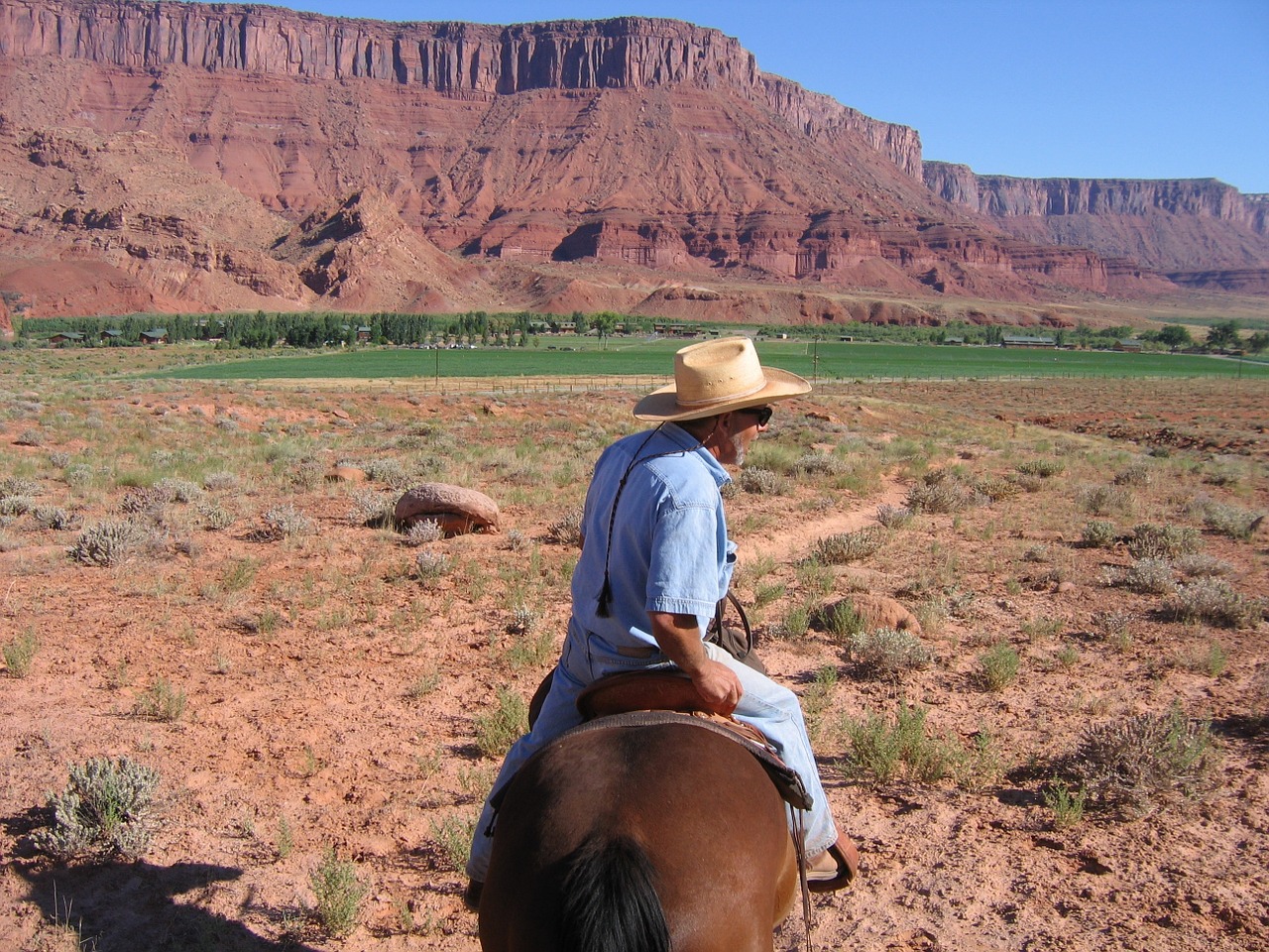 horse knight colorado river free photo