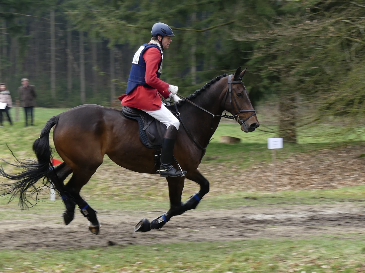 horse rider fox free photo