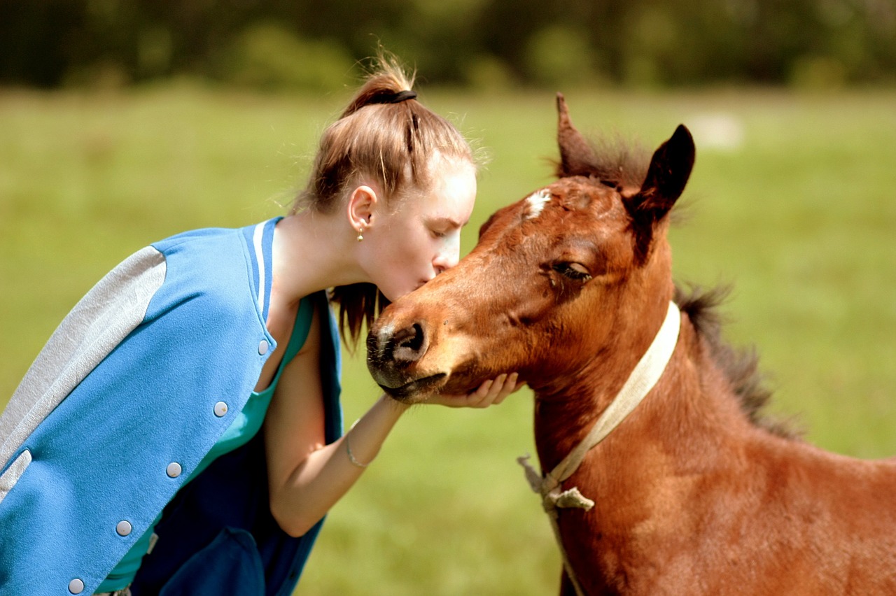 horse girl kiss free photo