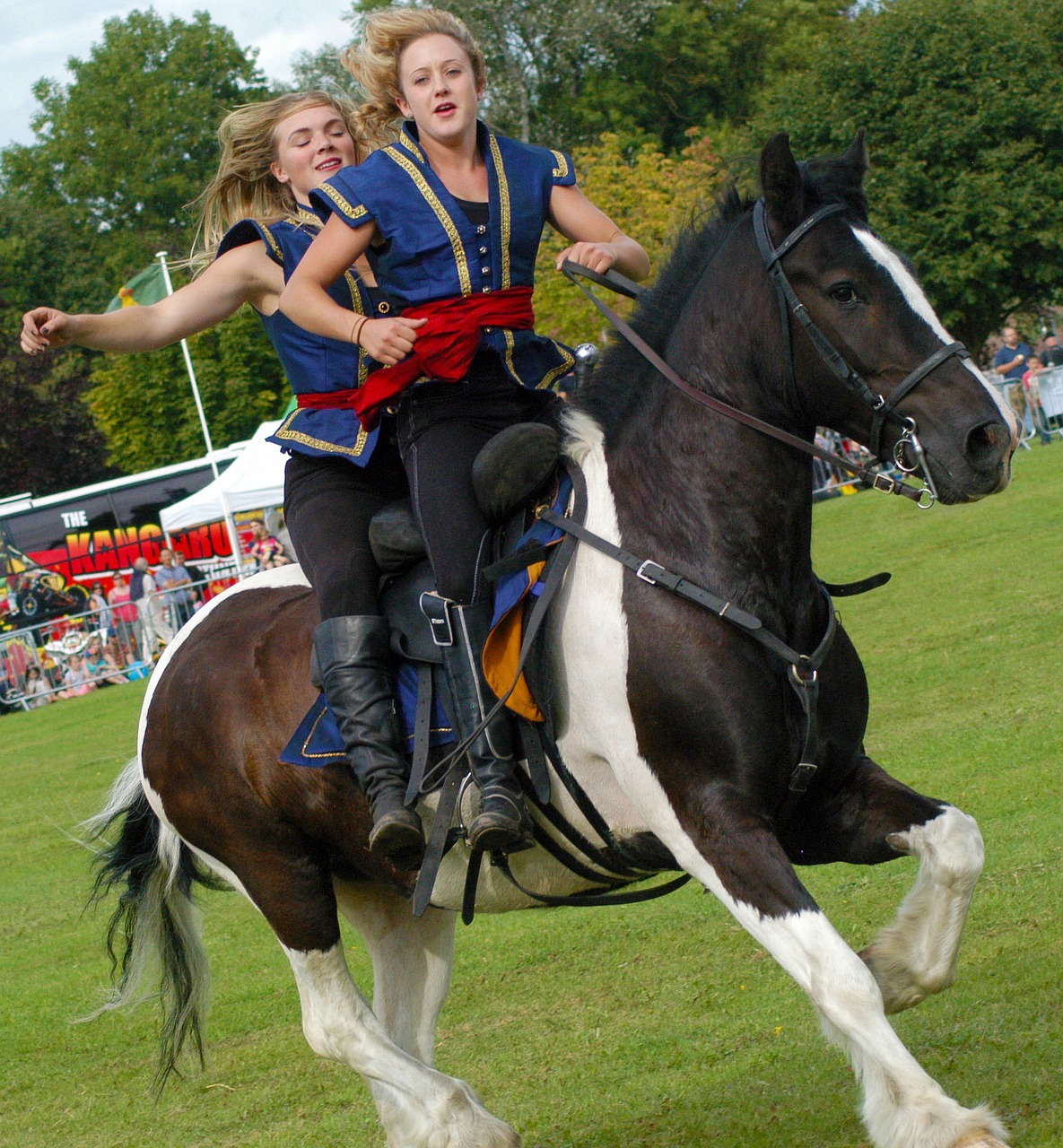 horse stunt show free photo