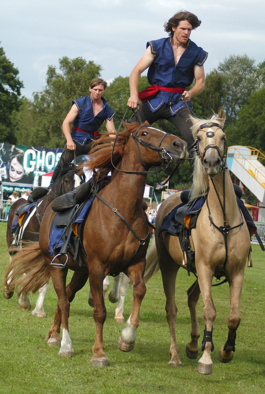 horse stunt equestrian free photo