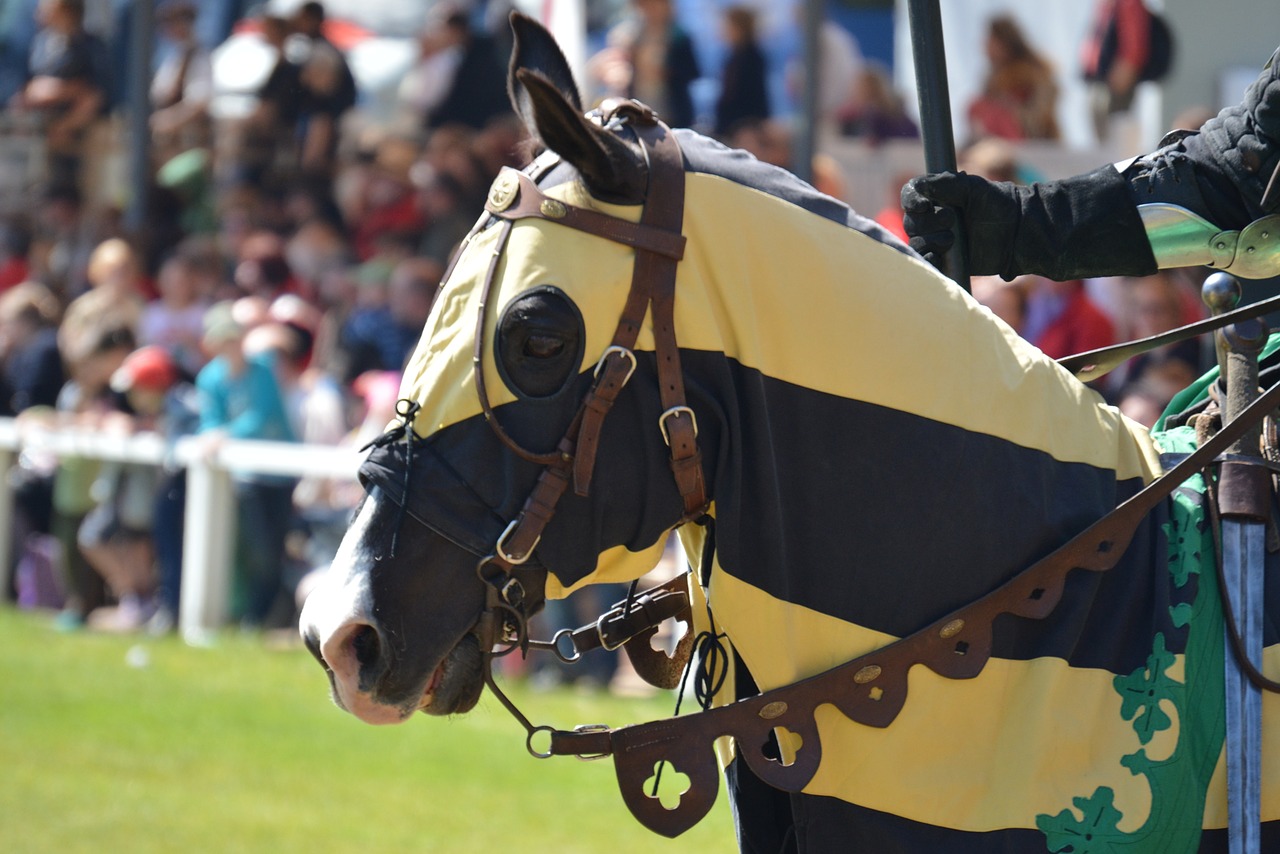 horse knight festival animal portrait free photo