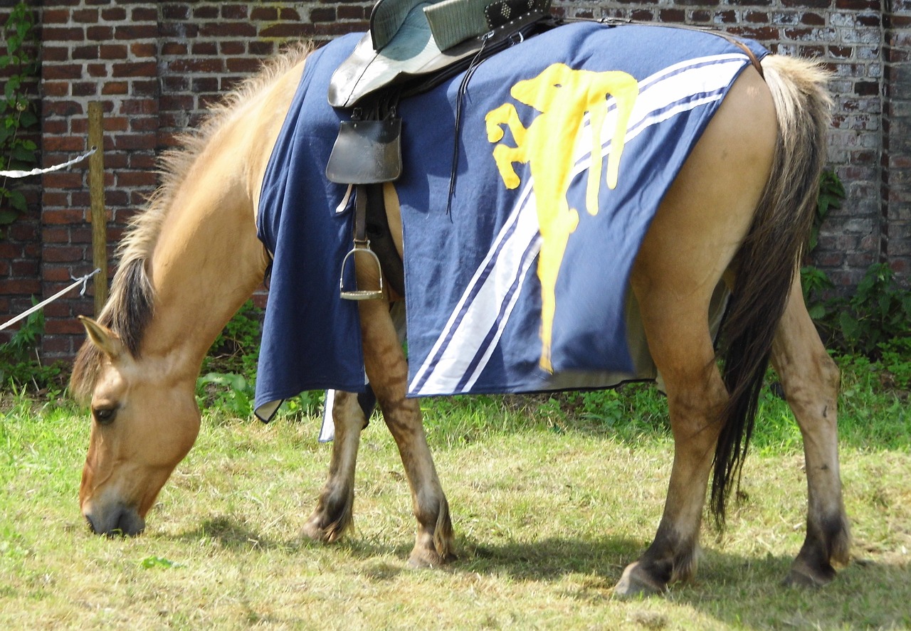 horse coat of arms middle ages free photo