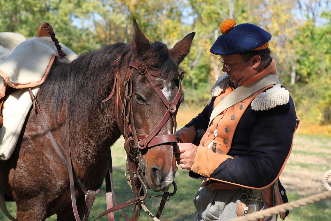 horse cavalry war free photo