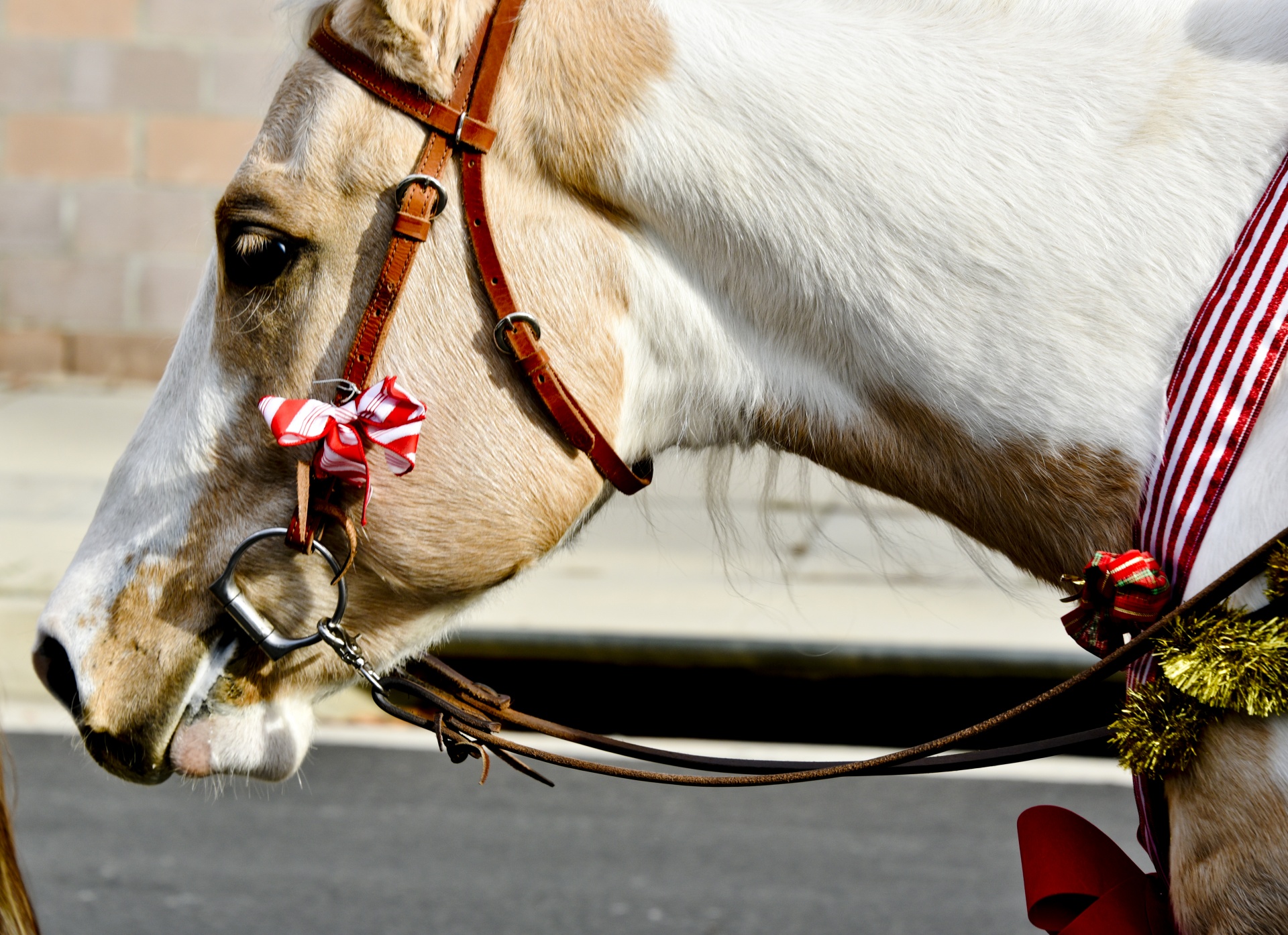 horse decorated light free photo