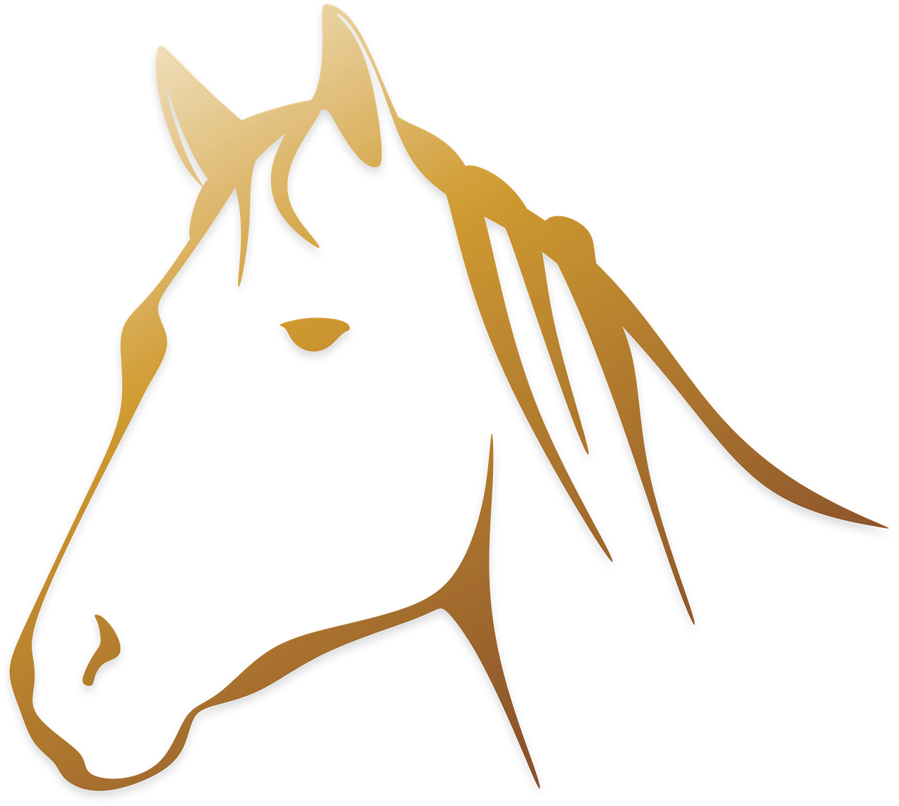 horse animal horse head free photo