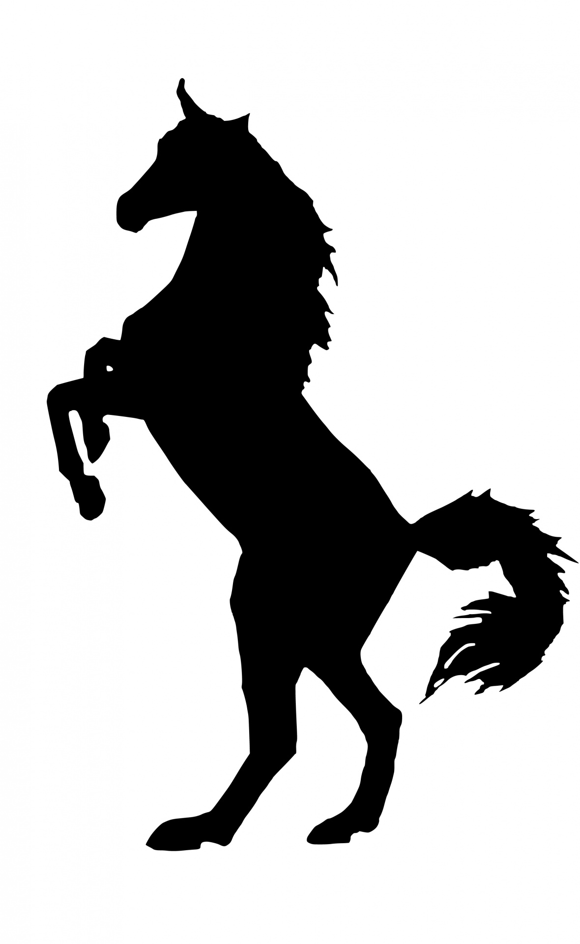 silhouette horse animal free photo