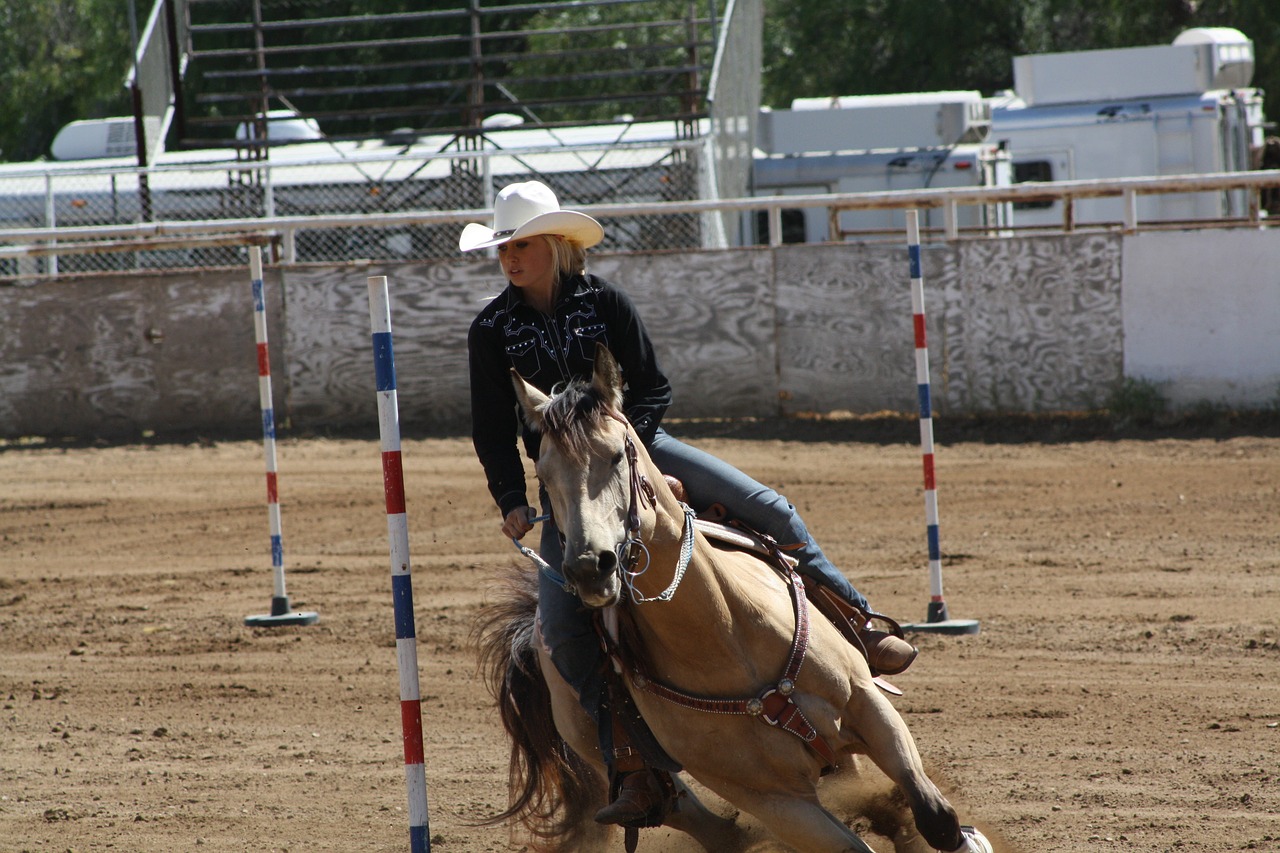 horse rodeo cowboy free photo