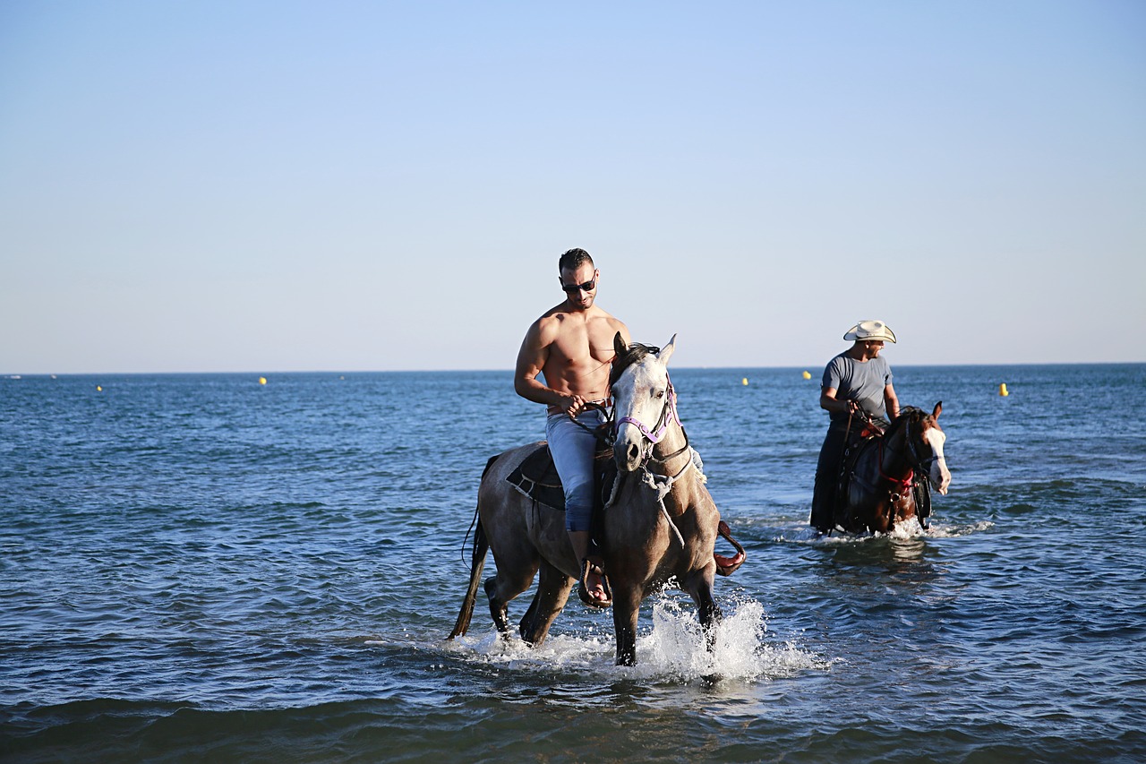 horse hiking horses free photo