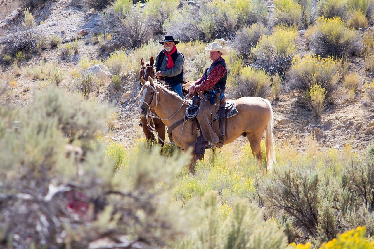 horse cowboy nature free photo