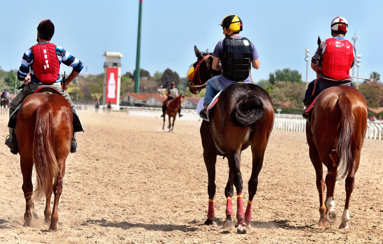 horse racing horses thoroughbred free photo