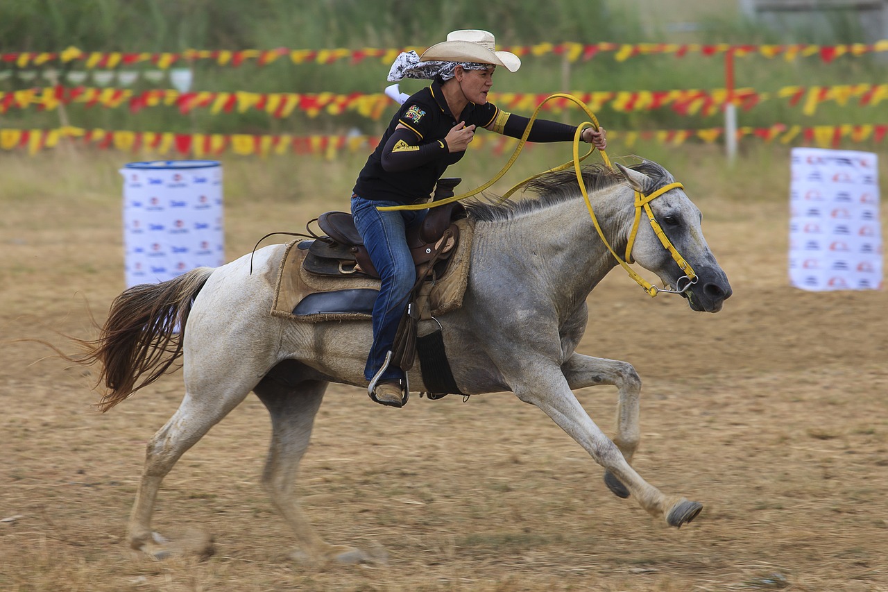 horse rider sports free photo