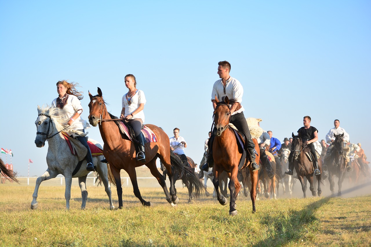 horse tradition rider free photo