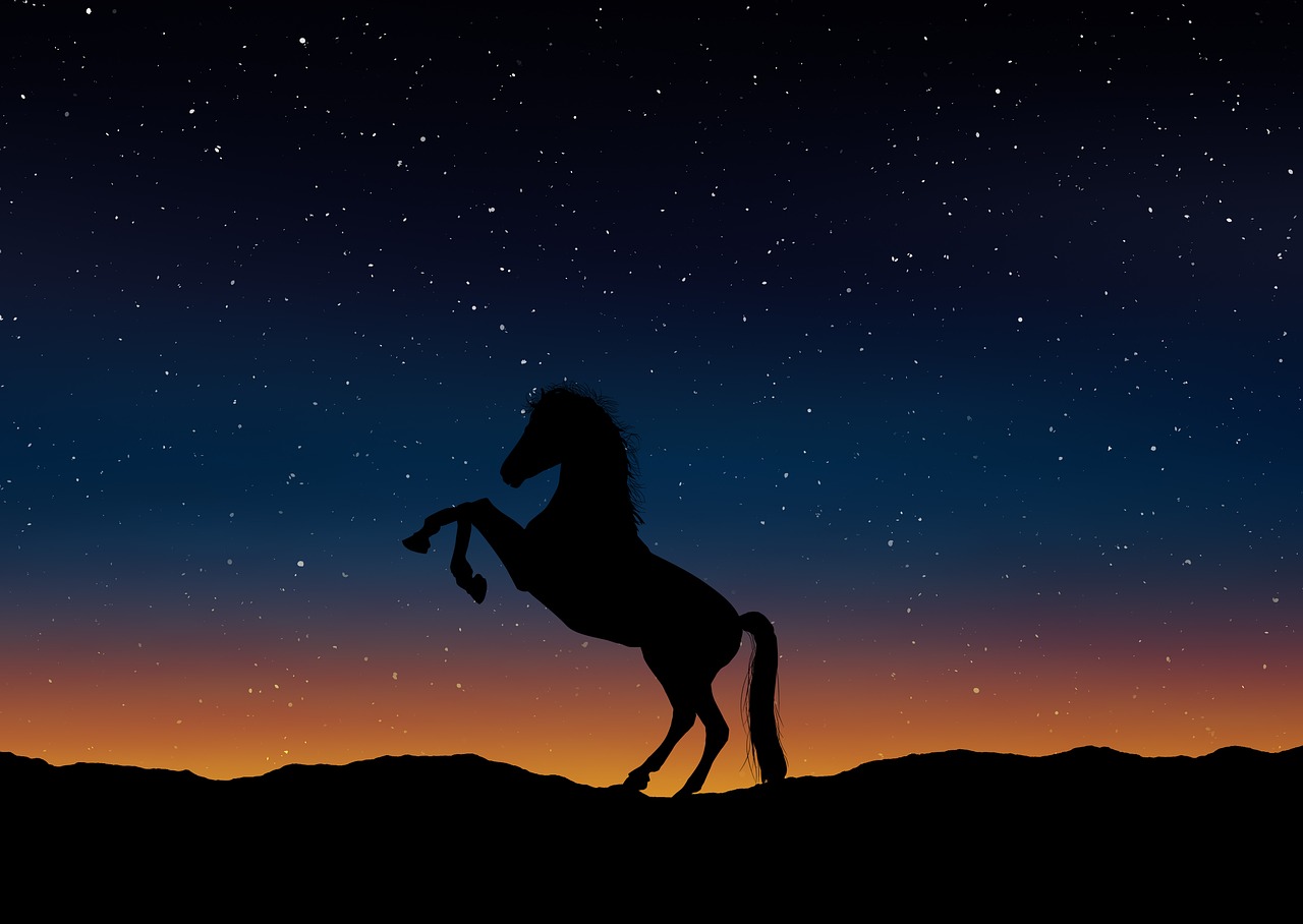 horse silhouette landscape free photo
