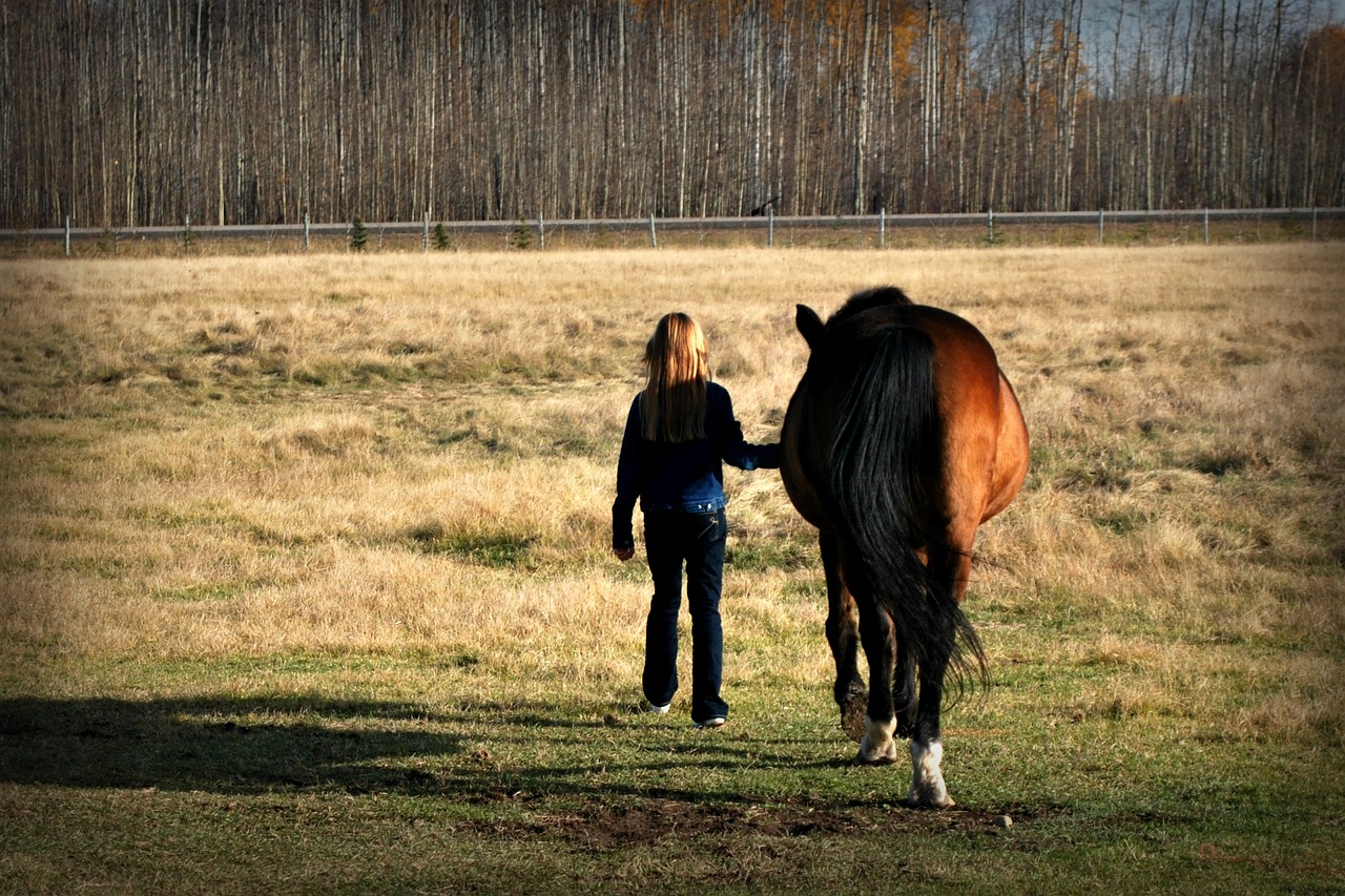 horse girl fall free photo