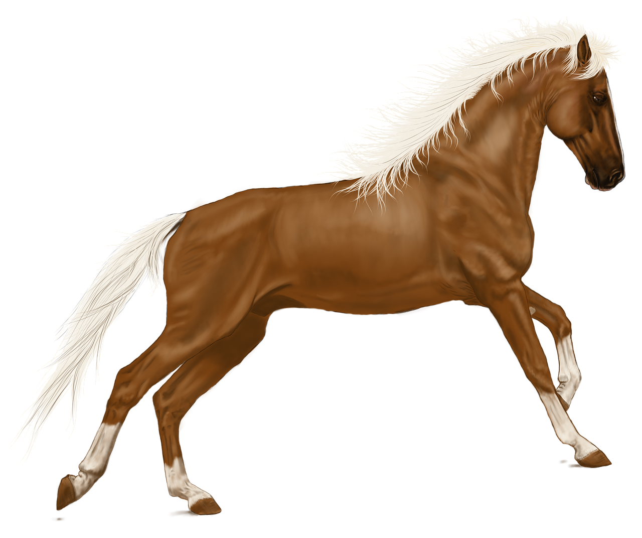 horse art digital artwork free photo