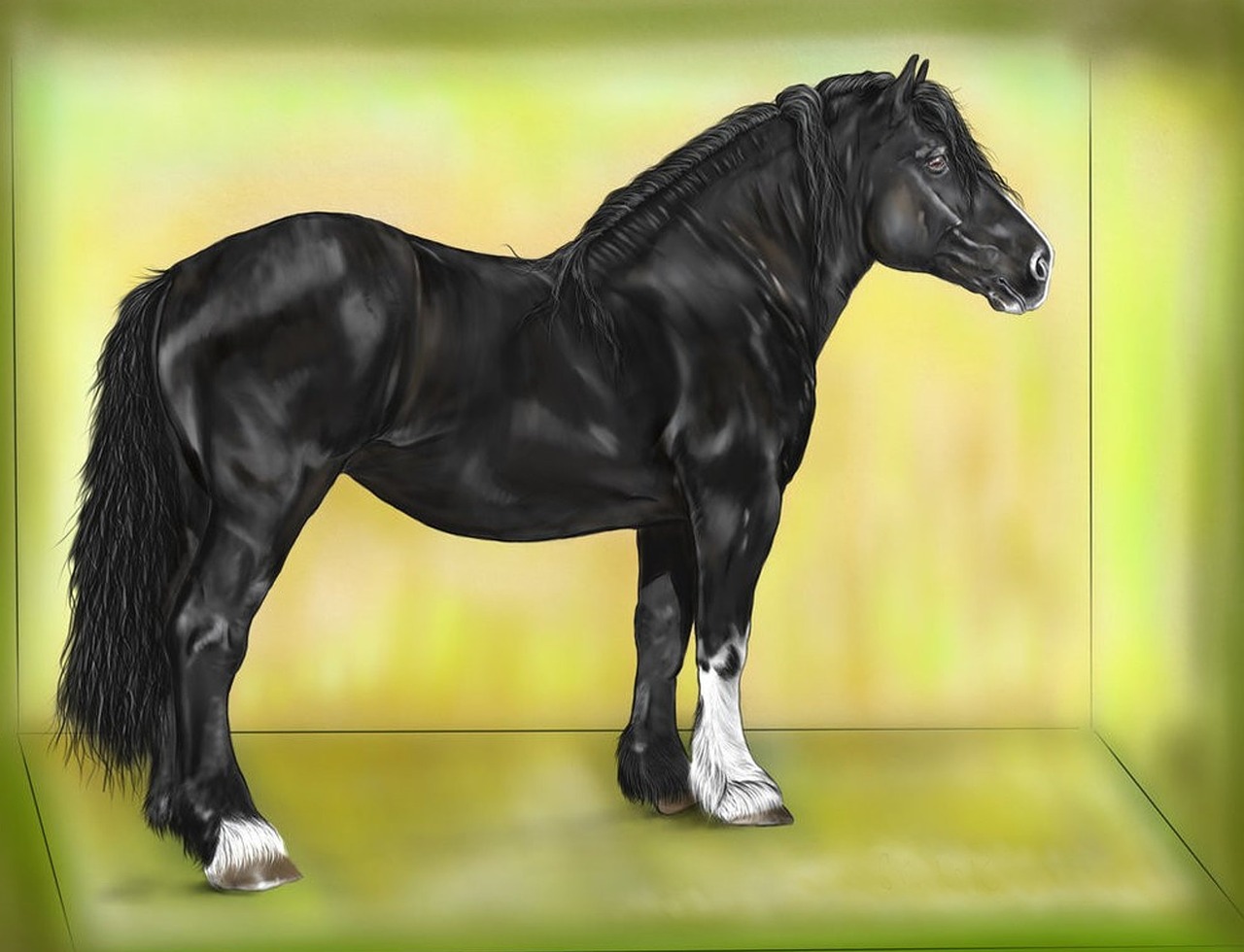 horse black digital painting free photo