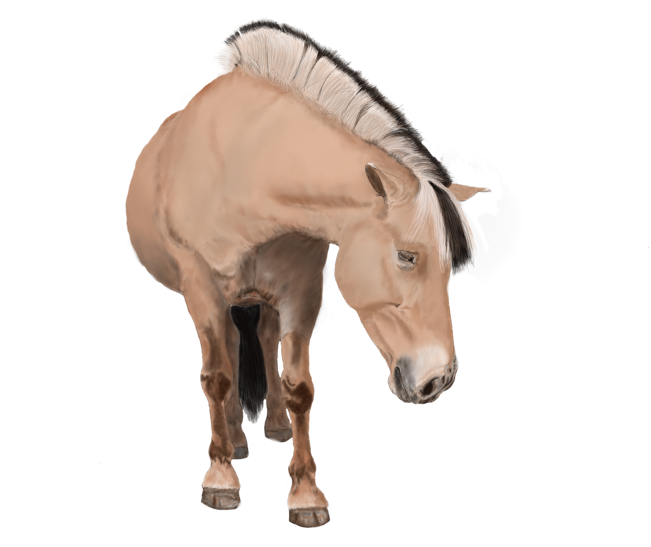 horse art digital painting free photo