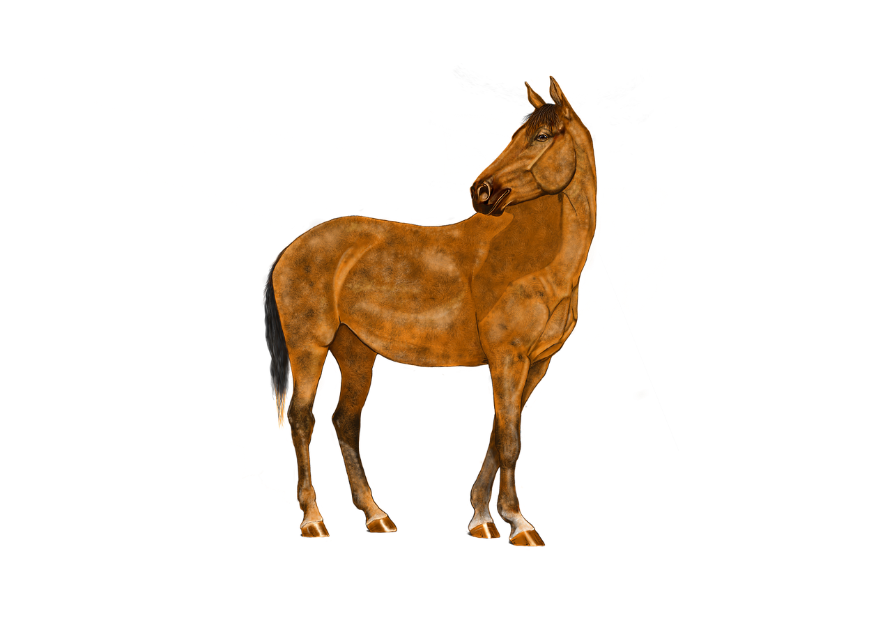 horse brown digital artwork free photo