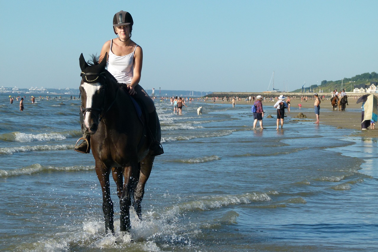 horse ride beach free photo