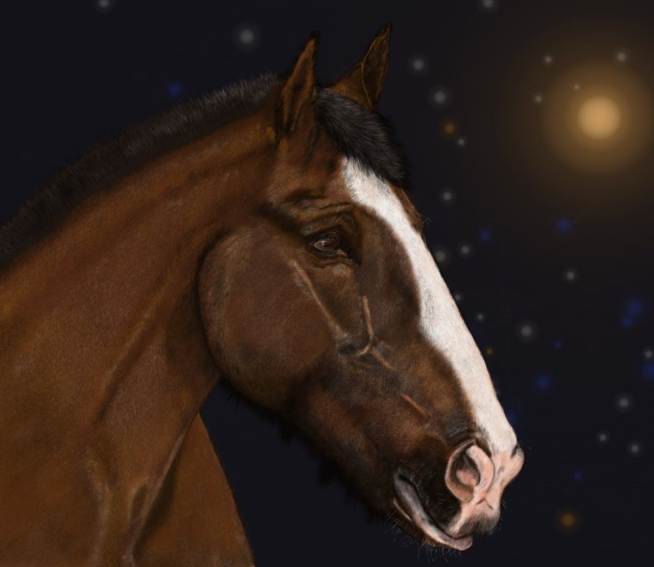 horse portrait digital painting free photo