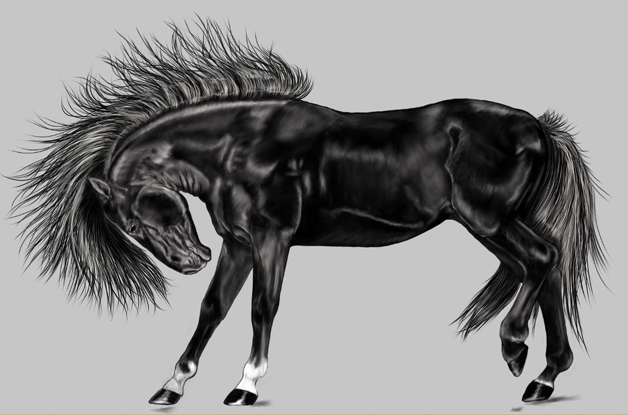 horse black digital painting free photo