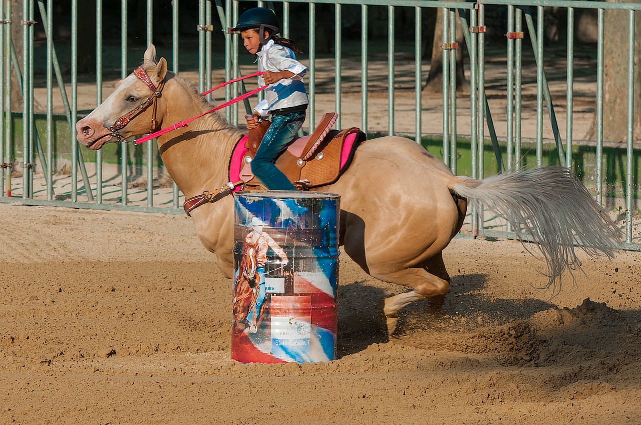horse barrel horseback riding free photo