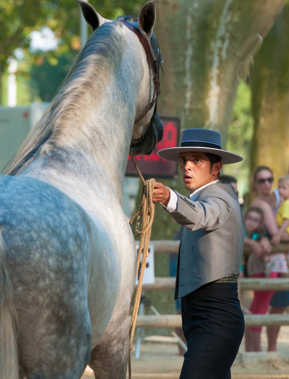 horse horseback riding contest free photo