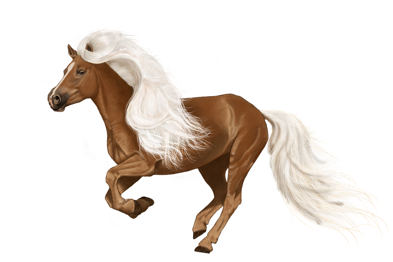 horse digital painting art free photo