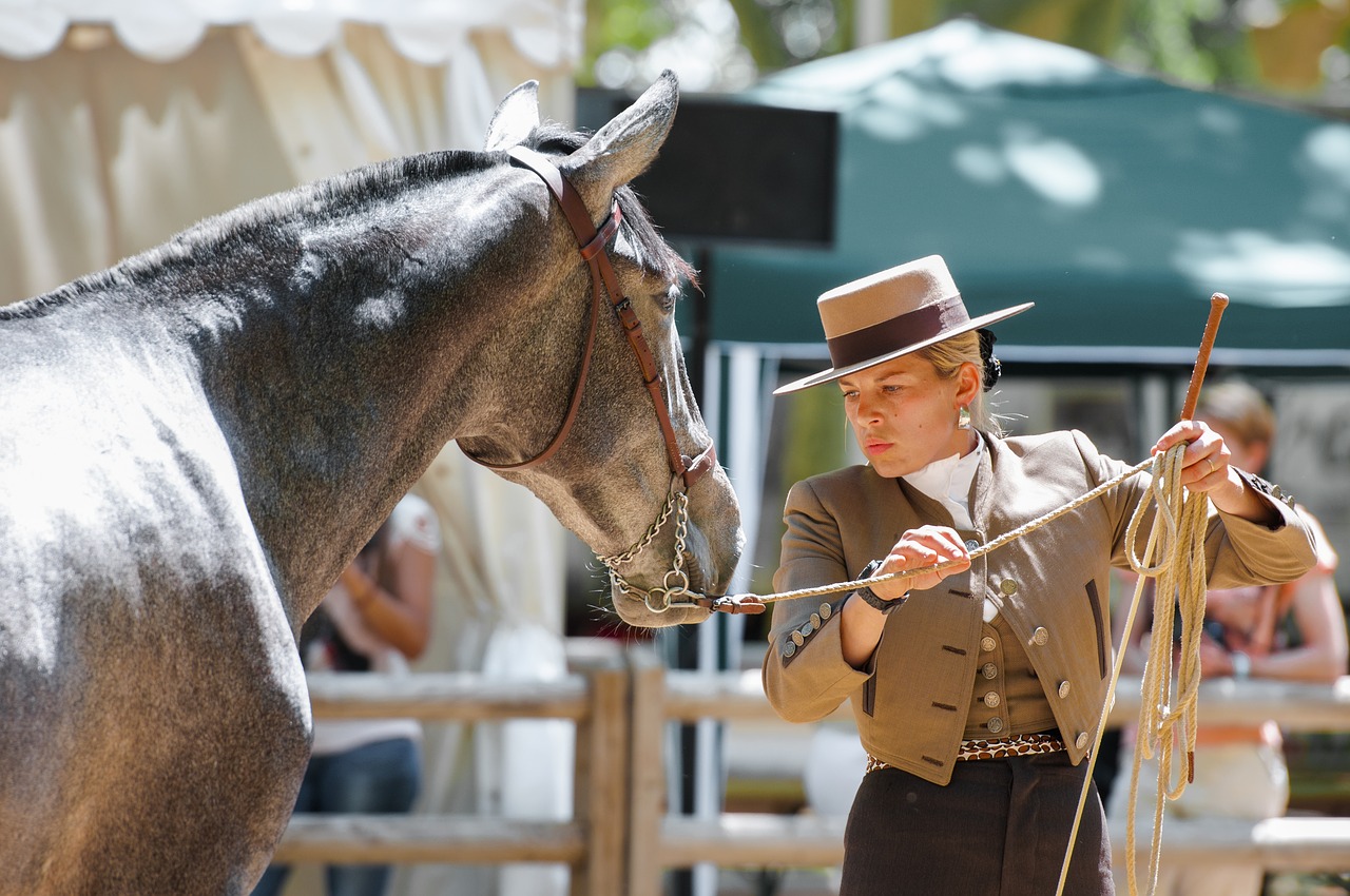 horse dressage contest free photo