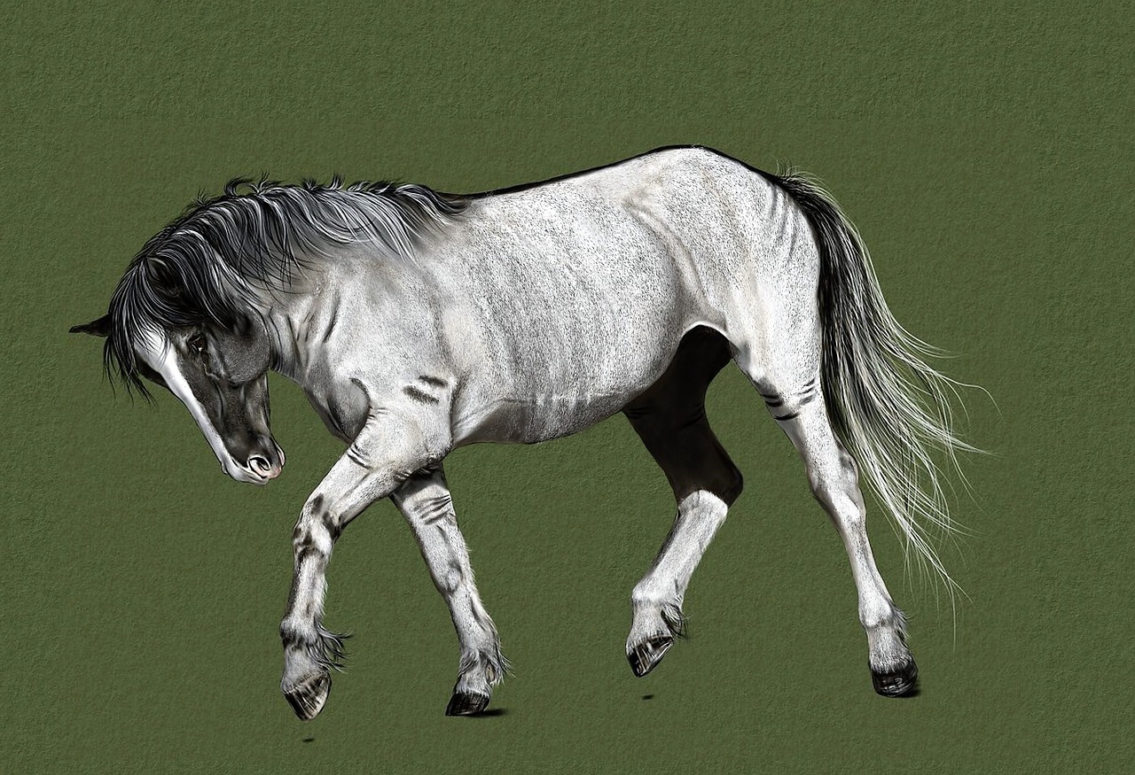 horse drawing digital artwork free photo