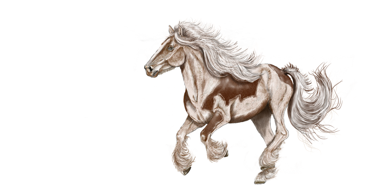 horse digital painting drawing free photo