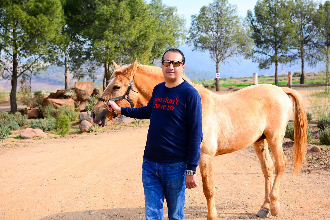 horse atlas mountains free photo