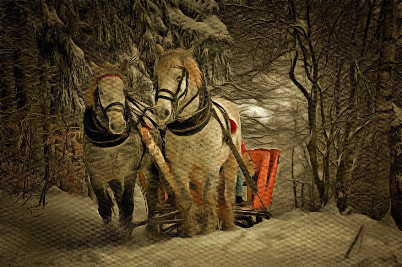 horse snow animal free photo