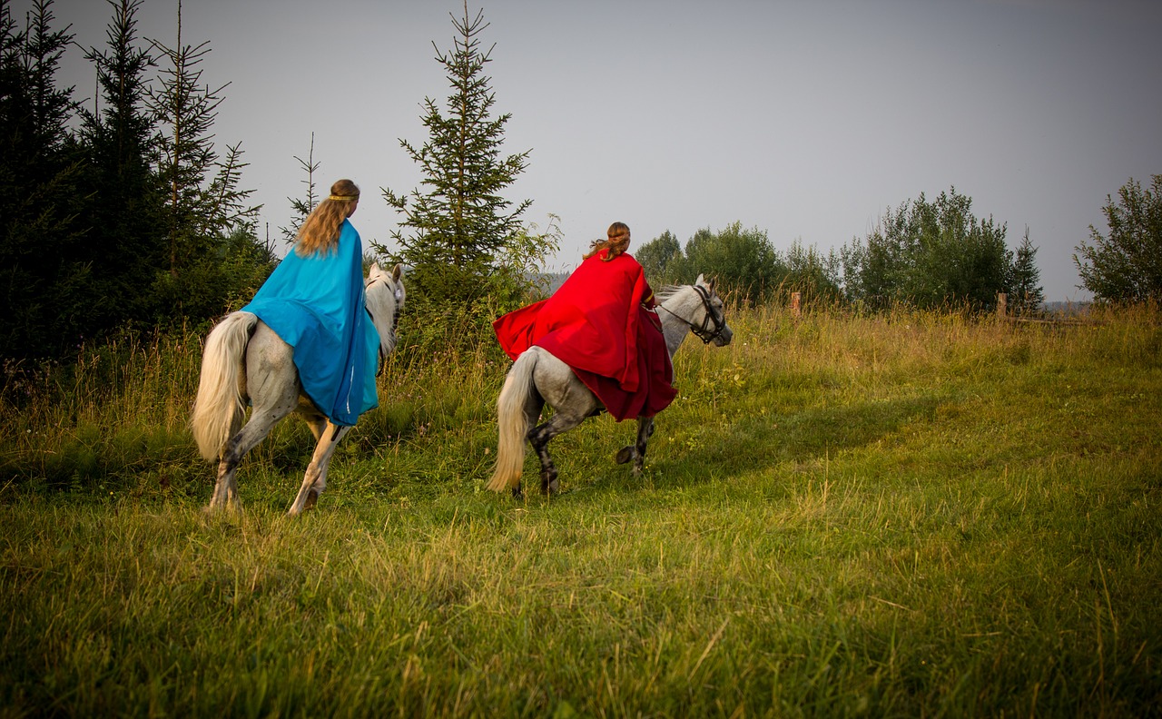 horse field summer free photo