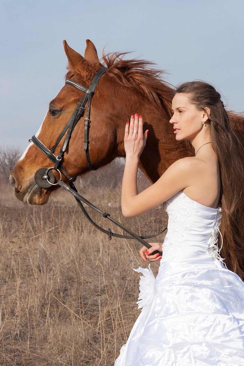 horse wedding dress field free photo