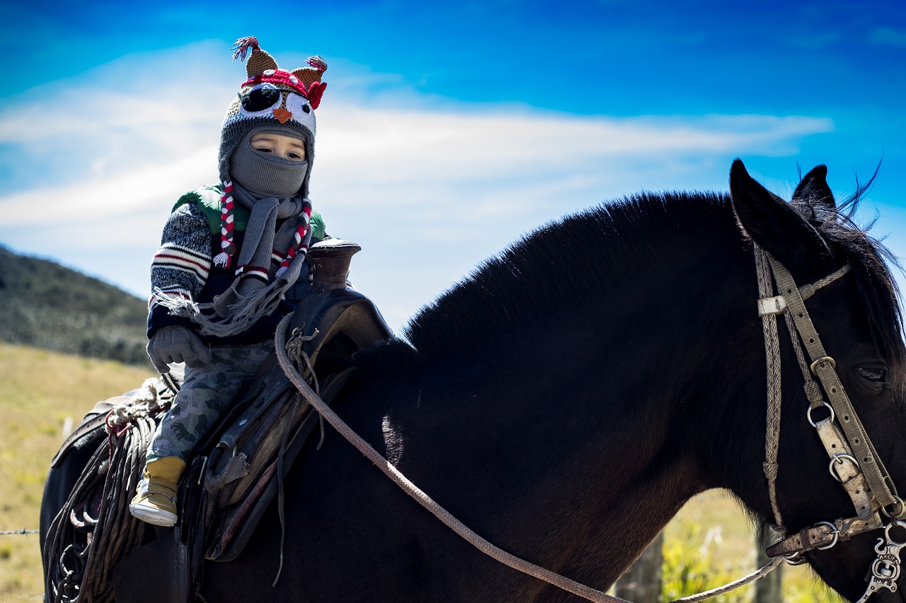 horse boy child free photo