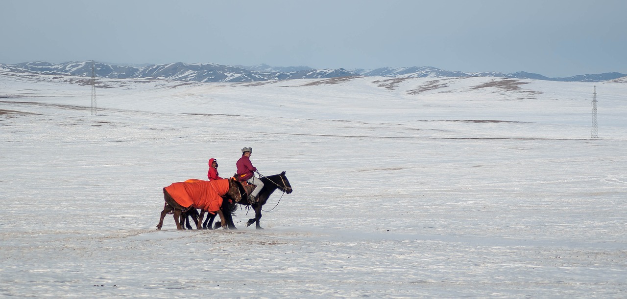 horse winter snow free photo