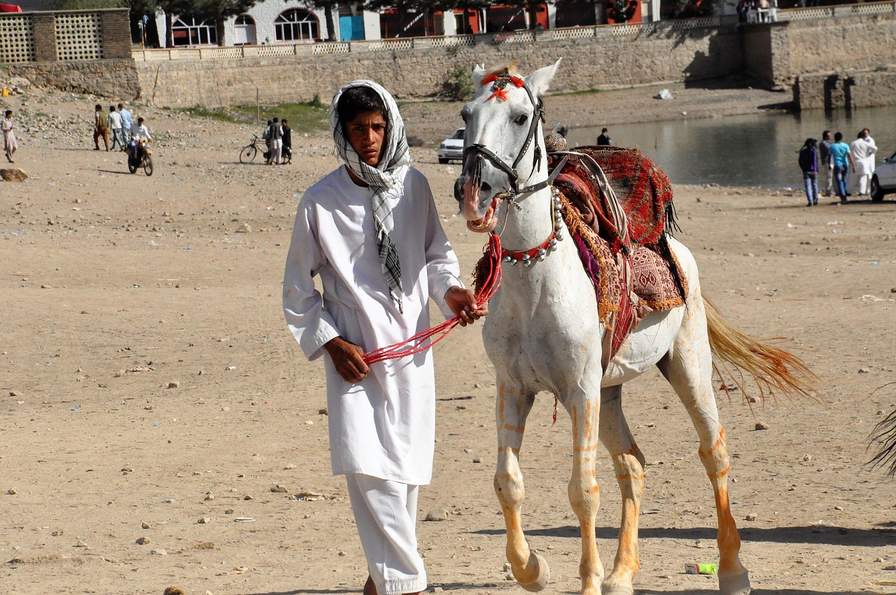 horse reiter human free photo