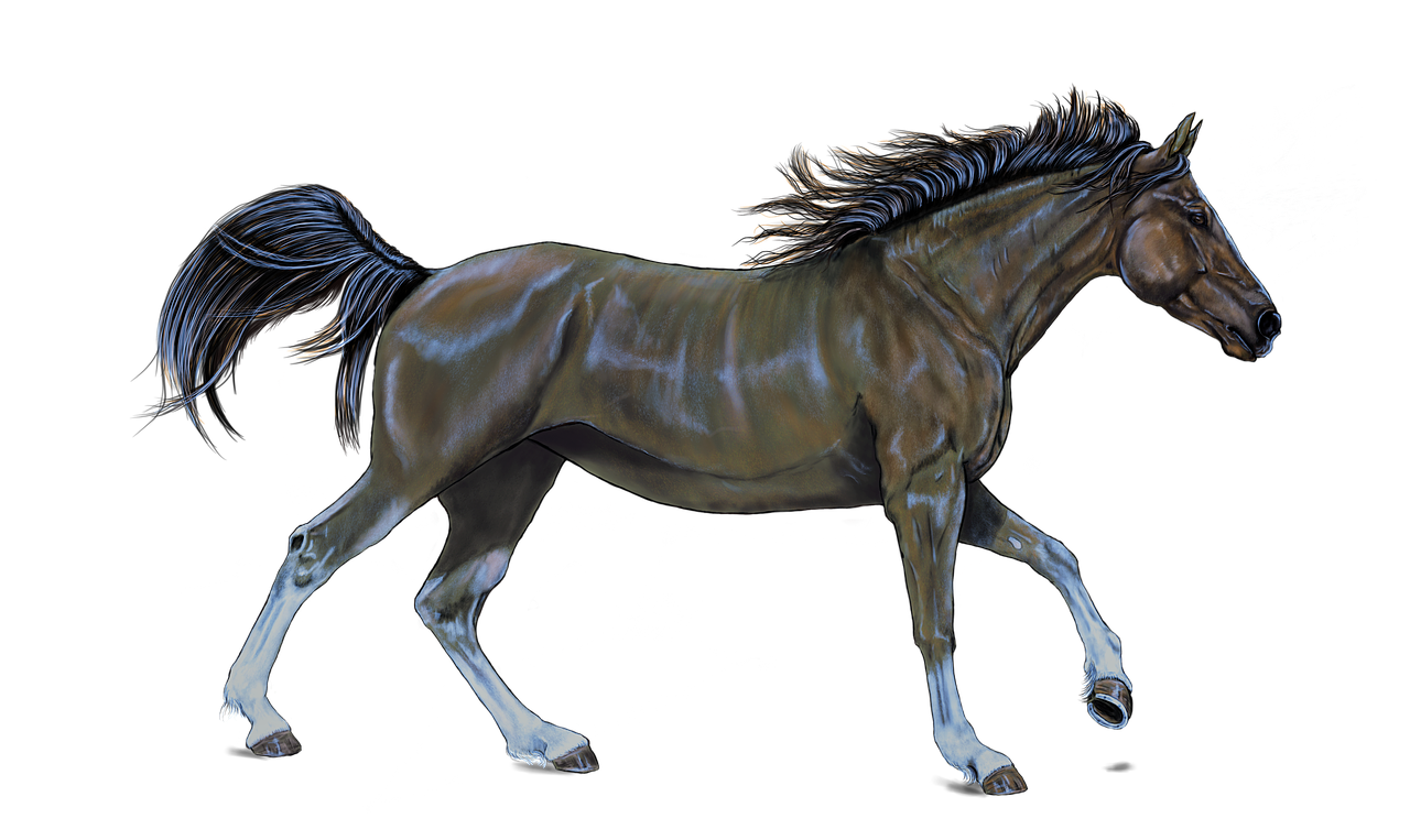 horse brown digital artwork free photo