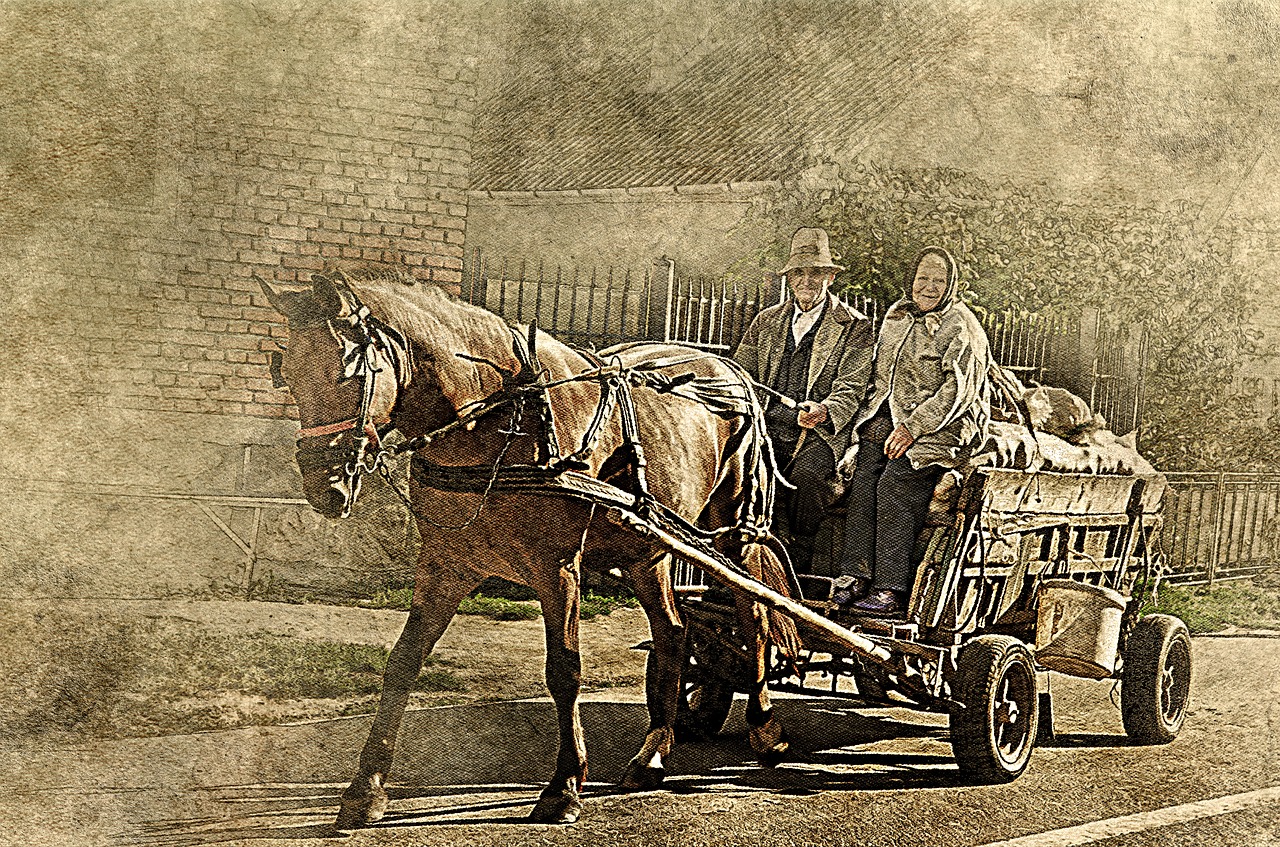 horse farm wagon old couple free photo