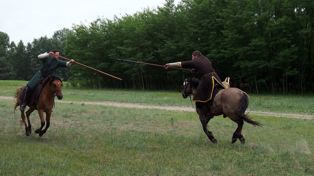 horse rider fight free photo