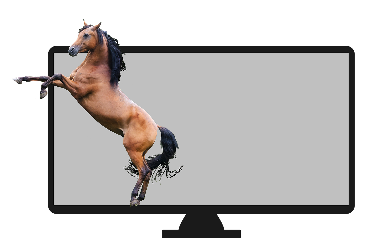 horse television visual free photo
