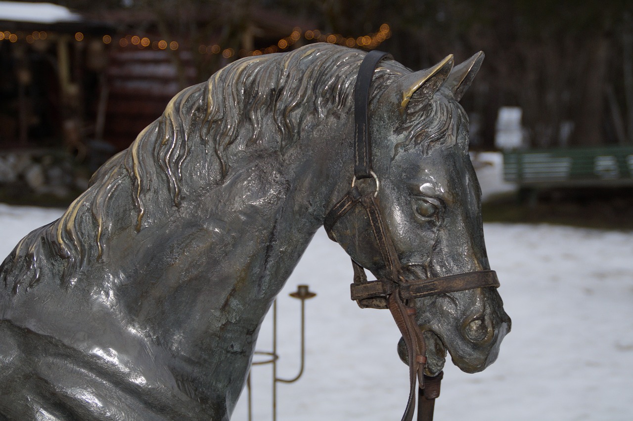 horse horse head portrait free photo