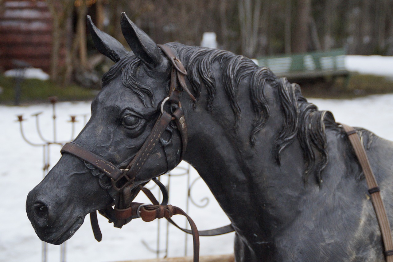 horse horse head portrait free photo