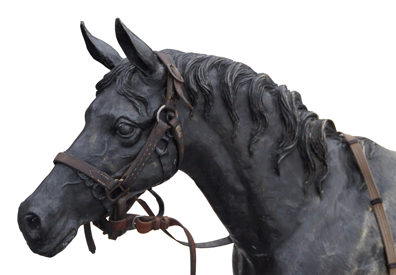 horse horse head portrait free photo
