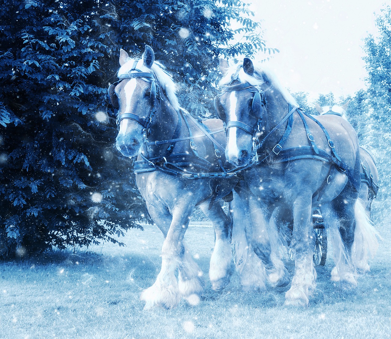 horse snow art free photo