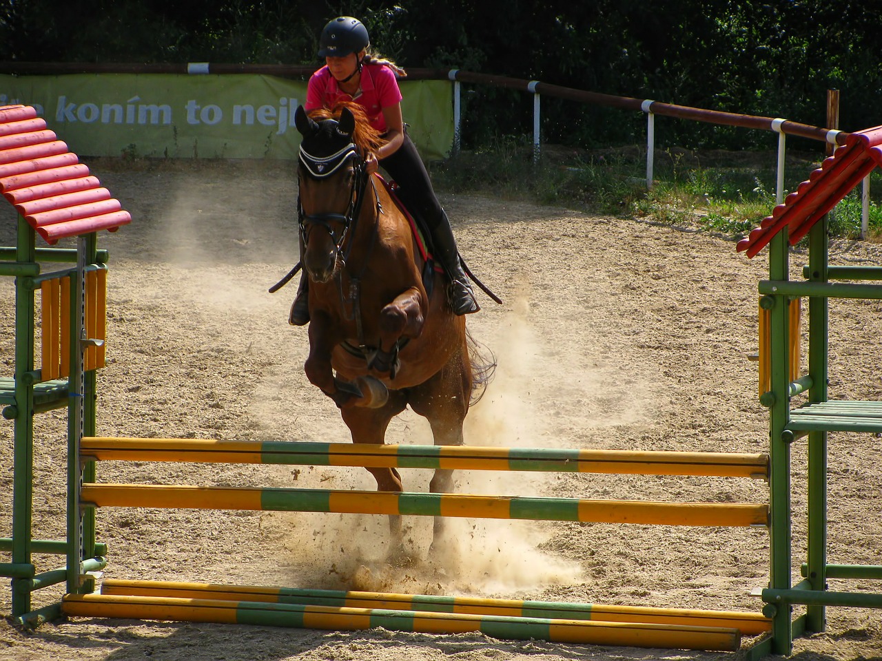 horse horse riding jumping free photo