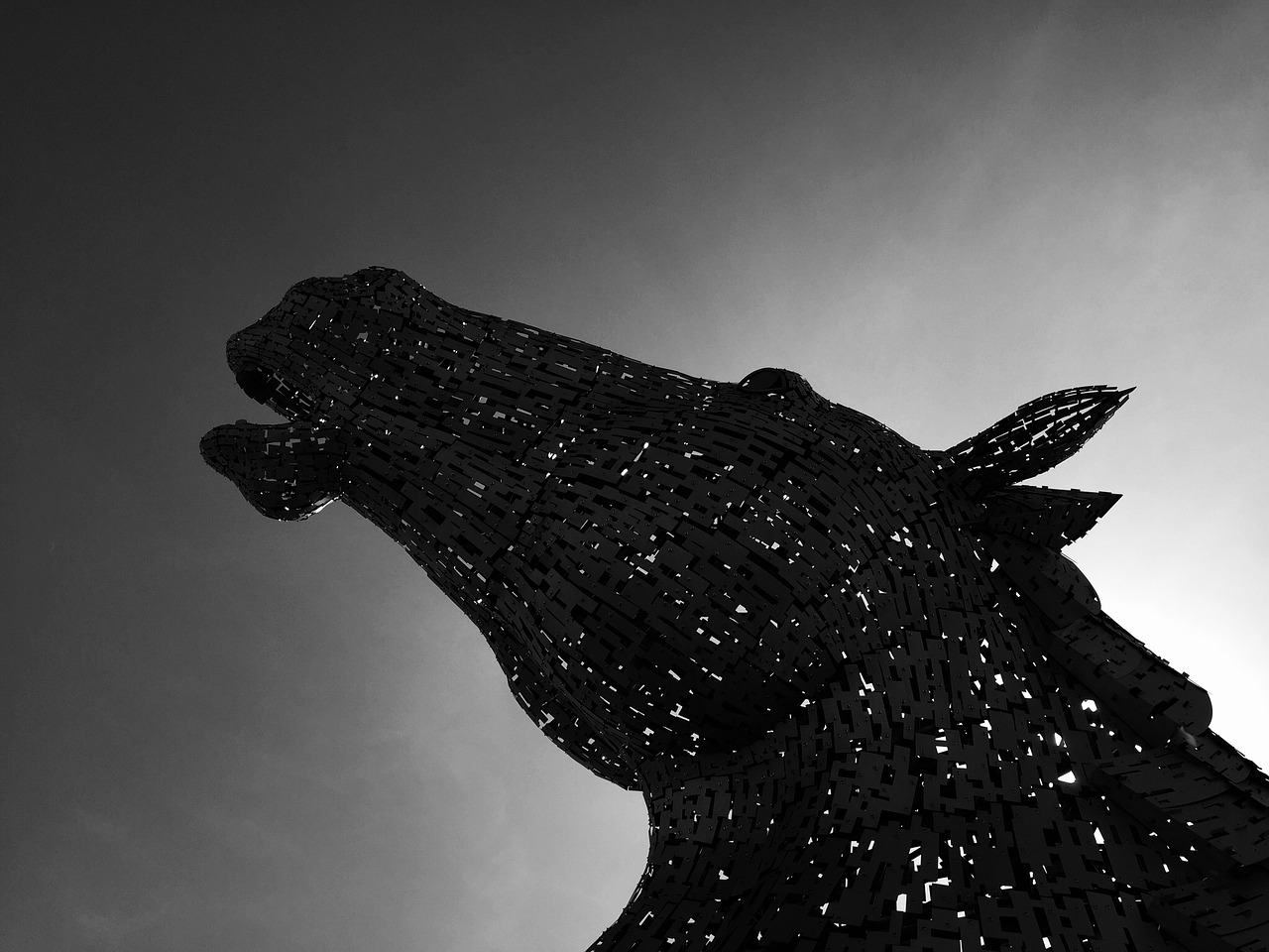 horse dark statue free photo